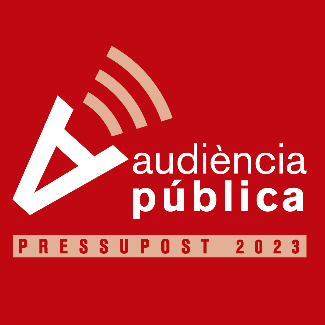 Audiència Pública de Pressupost Municipal 2023
