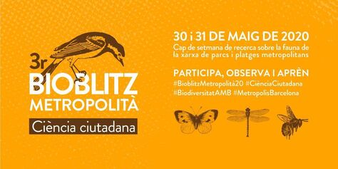 30 y 31 de mayo, 3r Bioblitz Metropolitano, investigación sobre fauna y flora en los parques y playas metropolitanas