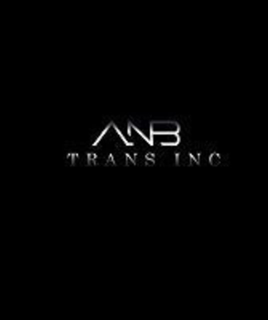 avatar Anb Trans Inc